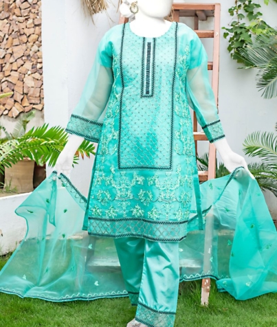 Organza suit 3 Piece (3)