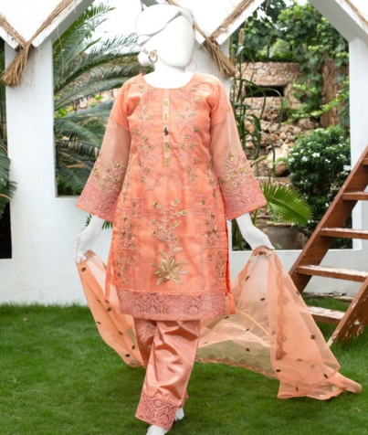 Organza suit 3 Piece (30)